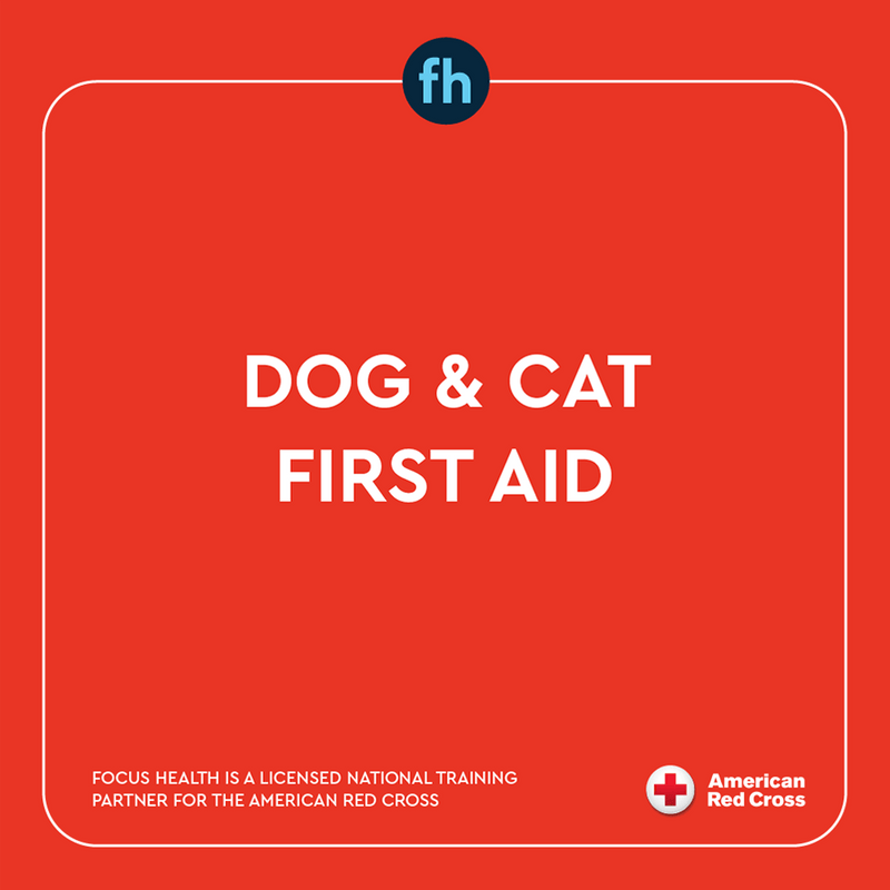 American Red Cross Dog & Cat First Aid Online Course