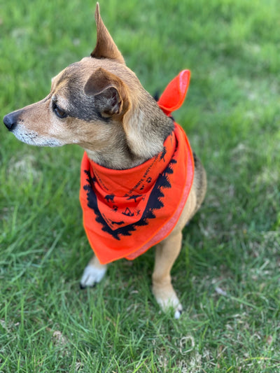 Ben's® Bandana with Insect Shield Dog