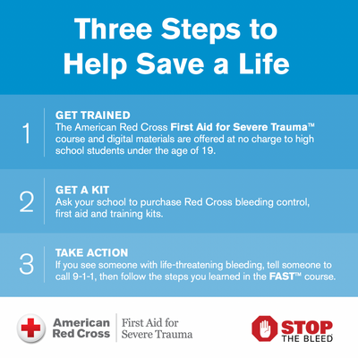 American Red Cross 'Adult First Aid/CPR/AED' Online Course