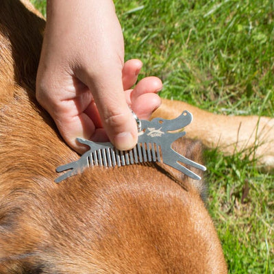 Tick Tool For Dogs