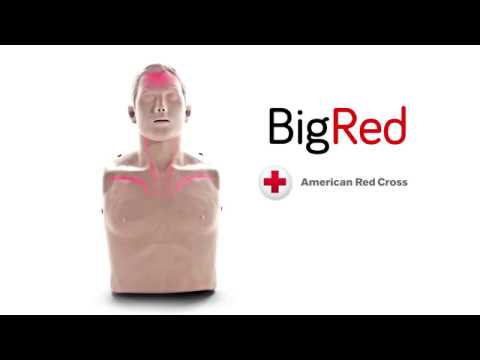 BigRed™ CPR Manikin with LED Light CPR Feedback - Adult