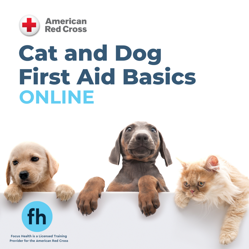 American Red Cross Dog & Cat First Aid Online Course